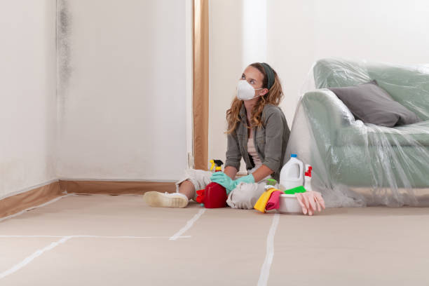 Reliable Attic Mold Removal contractor in Parkville, MD by WQB Mold Removal